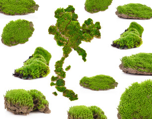 green moss set, thailand map symbol, isolated on white background nature macro small vegetation