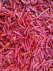 Wall Mural - Selective focus dried red chili background.	