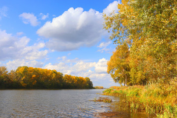 Wall Mural - autumn landscape with river