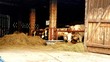Krowy mlekodajne w oborze dla zwierząt domowych, mleko od krowy , stajnia siano i słoma 