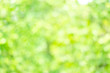 © thithawat - abstract bio green blur nature background trees lush foliage in the park at morning with sunlight.