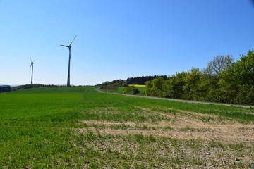 Poster - Eifellandschaft mit Windkraftanlagen