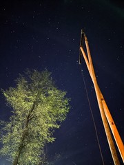Wall Mural - night scene with stars