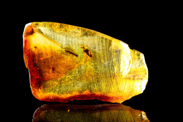 Wall Mural - An amazing piece of Baltic amber with prehistoric flies frozen in it. Isolated with a reflection on a black background. Close-up photo. 