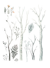Scandinavian Watercolor natural set of green trees, birch and pine, mountain ash, forest. Winter vintage collection isolated on white background. Woodland design elements