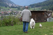 © franzdell - cane padrone cane animale domestico amico dell'uomo