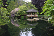 Japanese Garden With Pond
