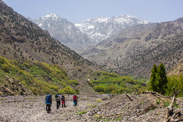 mountaineers caravan hiking over a huge valley of the great atlas of morocco with huge snowy mountai