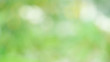 © surasak - Abstract green blurred background,Nature gradient backdrop.