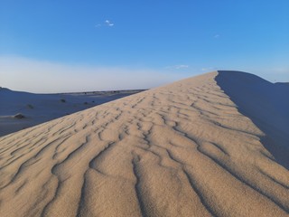 Canvas Print - Traveling to sahara desert of Algeria in North Africa