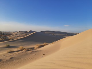 Wall Mural - Traveling to sahara desert of Algeria in North Africa