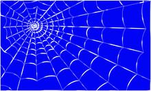 Spider Web On A Colored Background