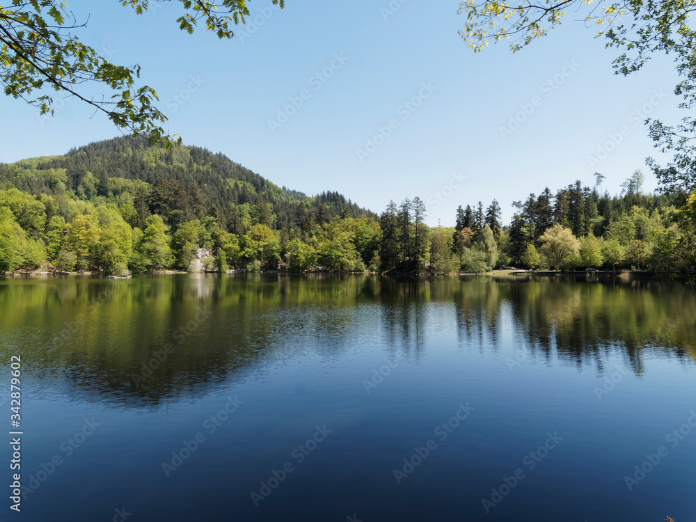 Stock-Foto „Naturpark Südschwarzwald. Spaziergang um den Bergsee oberhalb Bad Säckingen und Gipfel Röthekopf unter einem frühlingsblauen Himmel in Baden-Wüttemberg“