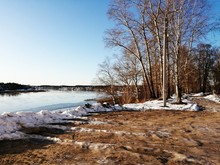 Bare Trees And Melting Dirty Snow On The Banks Of A Wide Frozen River Suhona. Vologda Region.