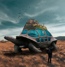 Giant Tortoise In The Desert