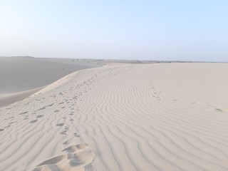 Sticker - traveling in sahara desert of Algeria