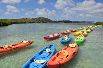 tropical kayak tour