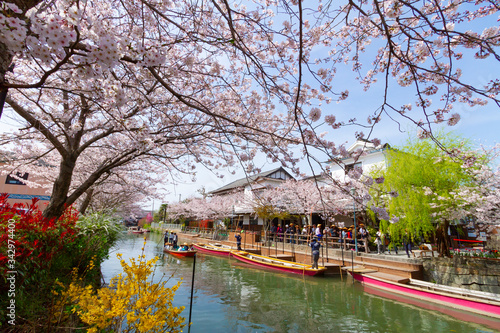 福岡県 柳川市 川下り 桜 Stock Photo Adobe Stock 福岡県 柳川市 川下り 桜 Stock Photo Adobe Stock