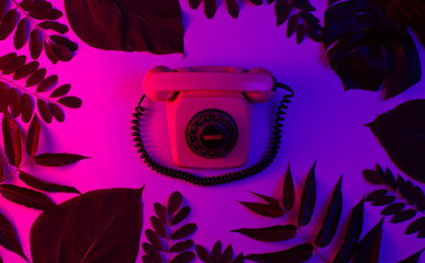 Retro style background. Retro rotary phone among green leaves on background with gradient neon blue pink light. Top view