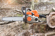© Anna Pecherskaia - The chainsaw stands on the stump of a felled tree. Spring cleaning of the HOMESTEAD territory, sawing old, rotten, unnecessary trees. Close-up photo.