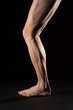 © Egoitz - Side view of the leg and calf muscle of a fibrous barefoot cyclist athlete. Studio photography with black background