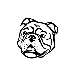 Wall Mural - English bulldog face - isolated outlined vector illustration
