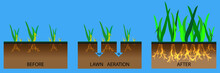 Lawn Aeration Stage Illustration. Lawn Aeration Process Steps Before And After, Lawn Grass. Gardening Grass Lawncare, Landscaping Service