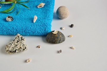 sea shells and stones