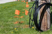 Fiber Optic Cable, Orange Marking Flags And Utility Pole. Concept Of Digging Safety, Utility Locate Service And High Speed Internet