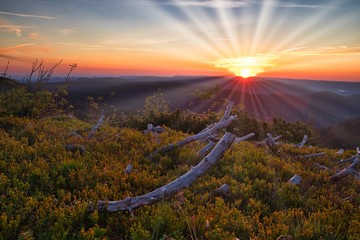 Sonnenaufgang an der Hornisgrinde