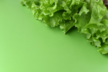 fresh green lettuce