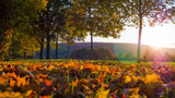 Fototapeta Krajobraz - Goldene Herbstlandschaft mit Linsenreflektion und bunten Blättern