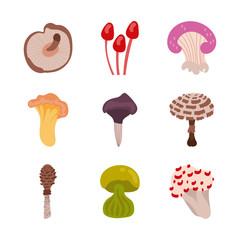 Sticker - bundle of fungus set icons