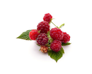 Wall Mural - Raspberry with leaves.