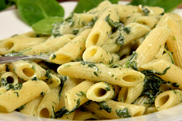 Wall Mural - penne with spinach and cheese sauce