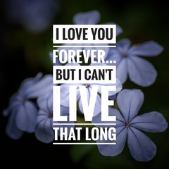 Wall Mural - Motivational and inspirational quote - I love you forever but I can't live that long. 