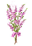 Fototapeta Lawenda - Bunch of Heather, purple flowers, a symbol of good luck