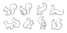 Vector Set Of Squirrel, Outline Squirrel Collection, Black Calligraphy Line Art, Indifferent Position Isolated On White Background,