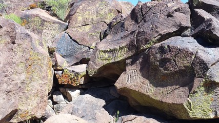 Wall Mural - beautiful examples of liken on the rocks at Maturango Canyon