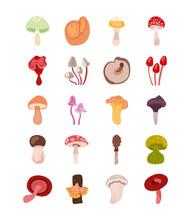 Bundle Of Fungus Set Icons