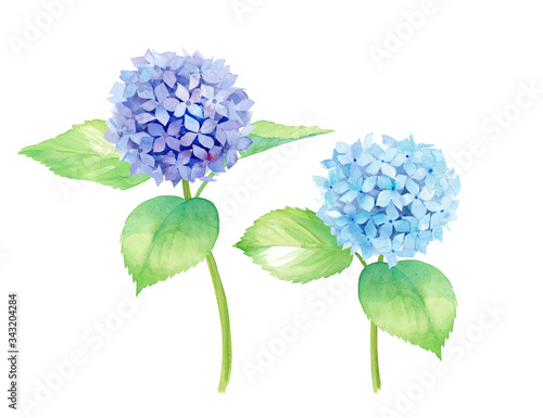 ブルーのあじさいの水彩イラスト トレースベクター Buy This Stock Vector And Explore Similar Vectors At Adobe Stock Adobe Stock ブルーのあじさいの水彩イラスト トレースベクター Buy This Stock Vector And Explore Similar Vectors At Adobe Stock Adobe Stock