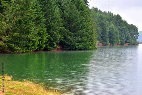 Photographie Scenic View Of Lake In Forest Against Sky