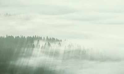 Wall Mural - landscape with fog in valley