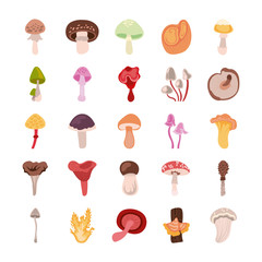 Sticker - bundle of fungus set icons