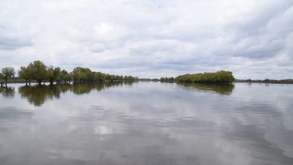 Wall Mural - A river that overflowed its banks.Spring flood.Spring landscape.The river overflowed its banks,trees stand in water.