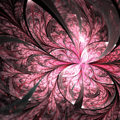 Wall Mural - Dark pink fractal flower or butterfly, digital artwork for creative graphic design