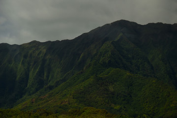 Hawaii O'ahu Rain Forest 