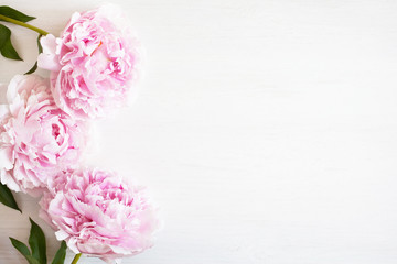 Poster - White wooden background with three pink peonies with space for text.