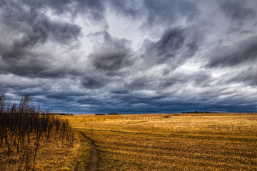 Prairie Sky