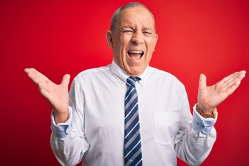 Sticker - Senior handsome businessman wearing elegant tie standing over isolated red background celebrating mad and crazy for success with arms raised and closed eyes screaming excited. Winner concept